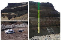 Probenahme und chemisch-petrographische Bewertung der Flözabfolge an zwei Profilen im Tagebau Vereinigtes Schleenhain