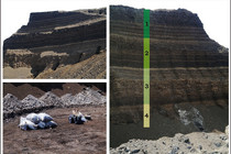 Sampling, chemical and petrographical evaluation of the coal seam sequence at two profiles in the surface mine Vereinigtes Schleenhain